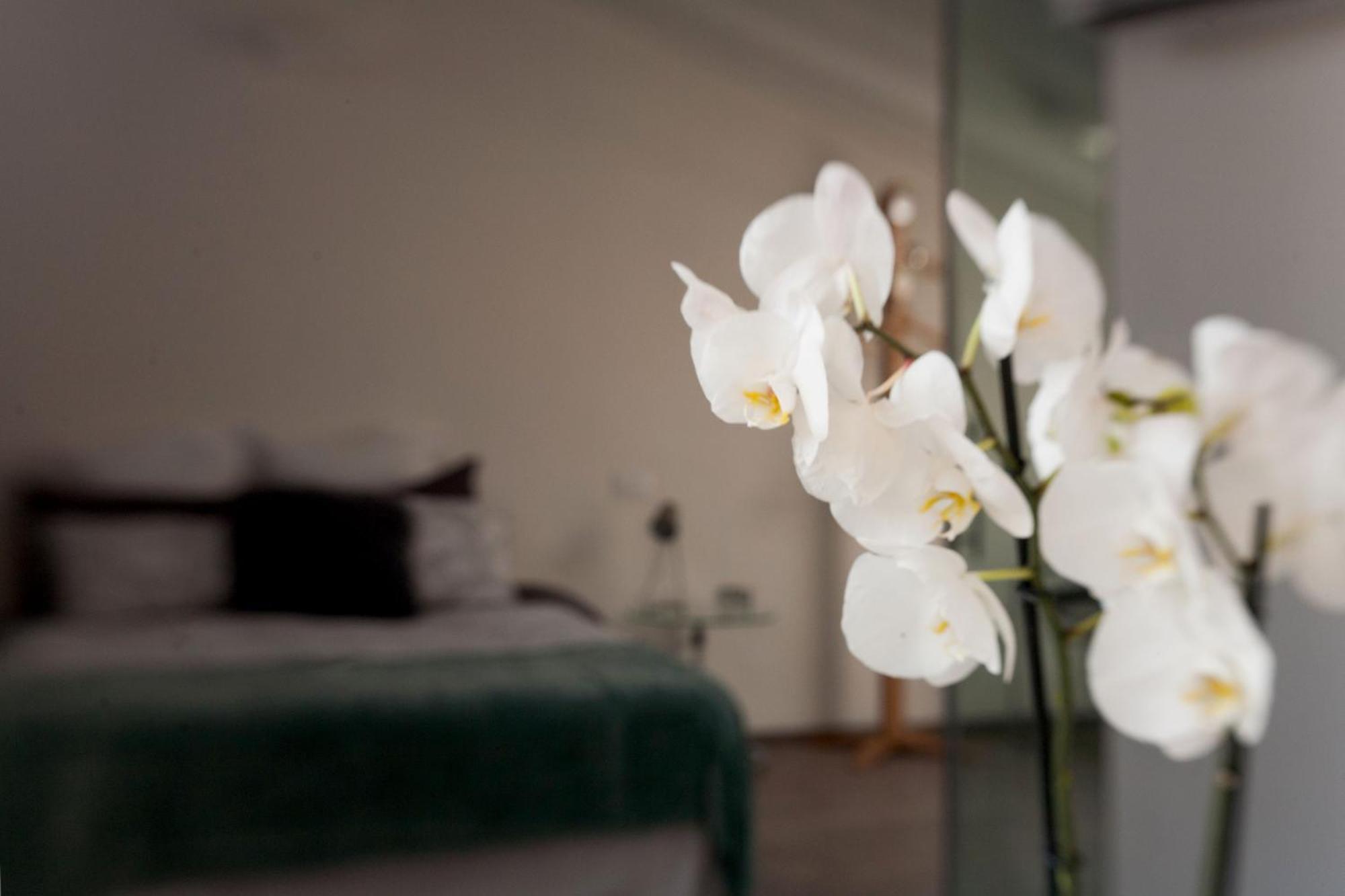 Bed and breakfast San Clemente 3*